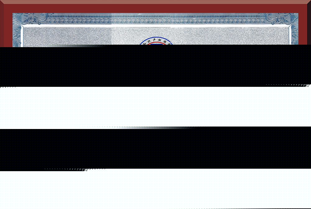 05、廣東省知識產(chǎn)權示范企業(yè)